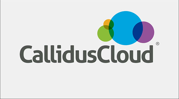 CallidusCloud Insurance--Product Introduction